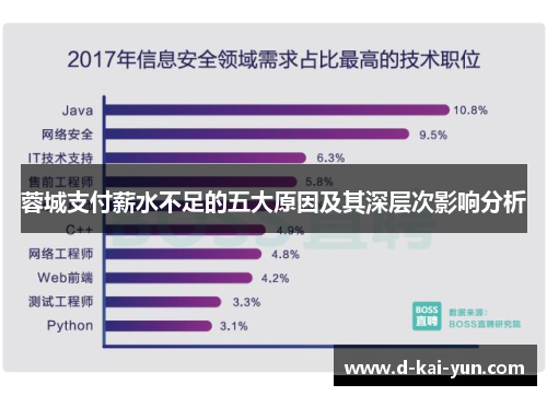 蓉城支付薪水不足的五大原因及其深层次影响分析